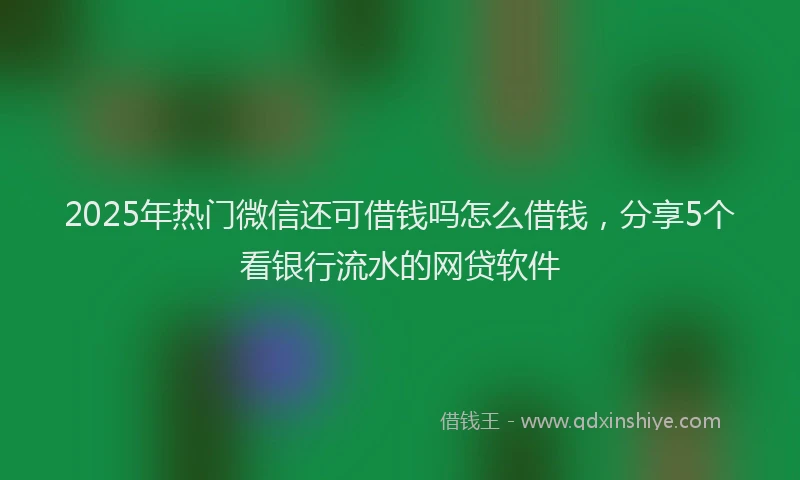 2025年热门微信还可借钱吗怎么借钱，分享5个看银行流水的网贷软件