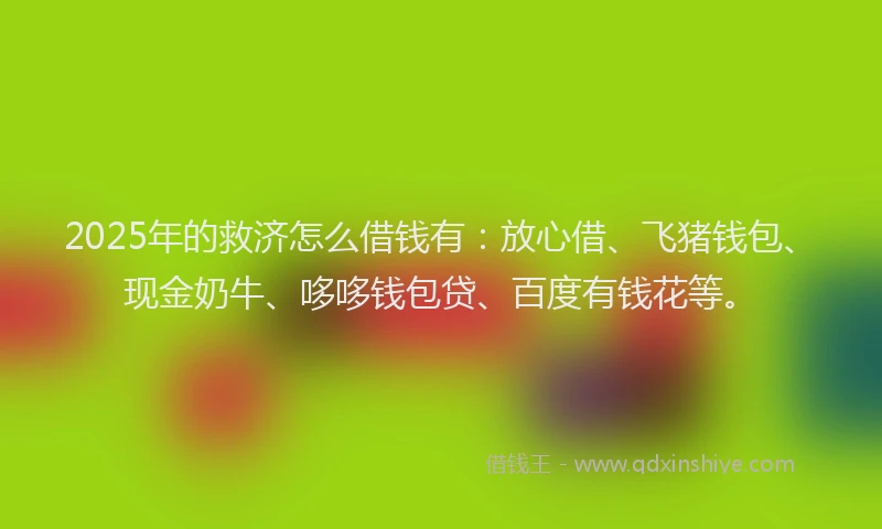 2025年的救济怎么借钱有：放心借、飞猪钱包、现金奶牛、哆哆钱包贷、百度有钱花等。