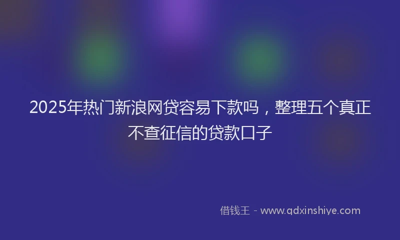 2025年热门新浪网贷容易下款吗，整理五个真正不查征信的贷款口子
