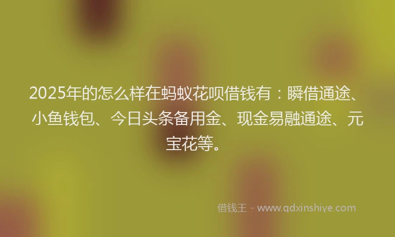 2025年的怎么样在蚂蚁花呗借钱有：瞬借通途、小鱼钱包、今日头条备用金、现金易融通途、元宝花等。