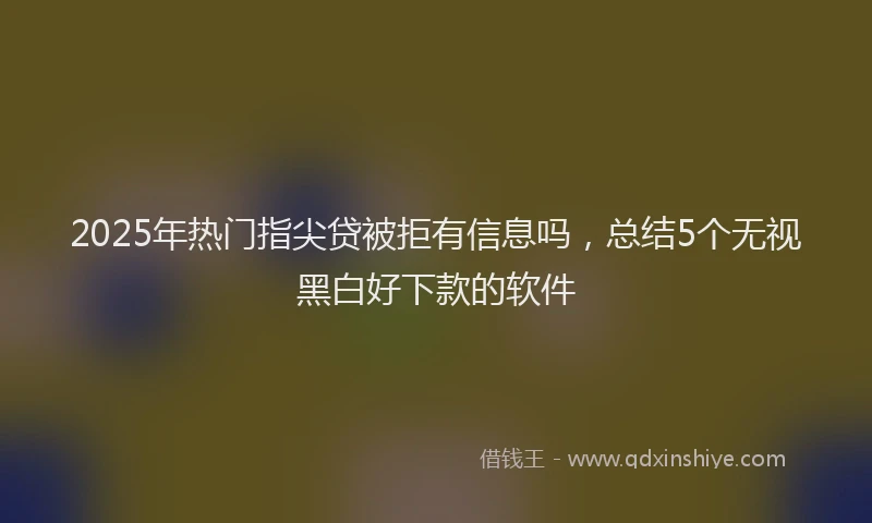 2025年热门指尖贷被拒有信息吗，总结5个无视黑白好下款的软件