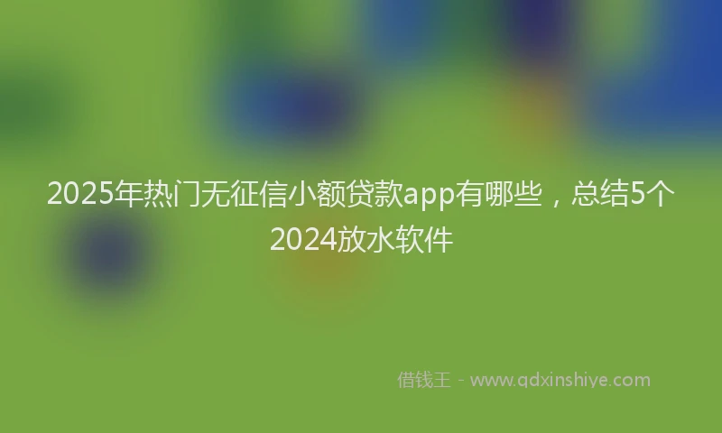 2025年热门无征信小额贷款app有哪些，总结5个2024放水软件