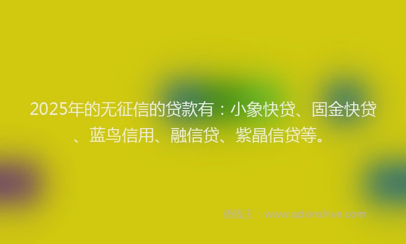 2025年的无征信的贷款有：小象快贷、固金快贷、蓝鸟信用、融信贷、紫晶信贷等。