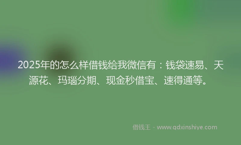 2025年的怎么样借钱给我微信有：钱袋速易、天源花、玛瑙分期、现金秒借宝、速得通等。