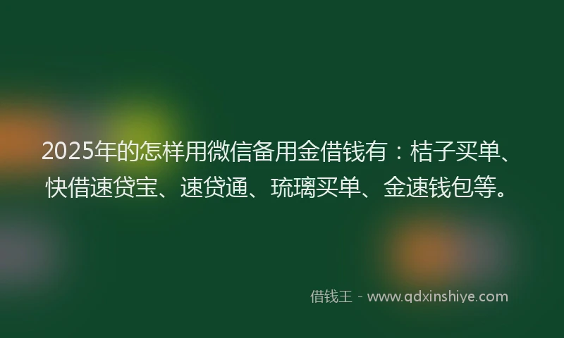 2025年的怎样用微信备用金借钱有：桔子买单、快借速贷宝、速贷通、琉璃买单、金速钱包等。