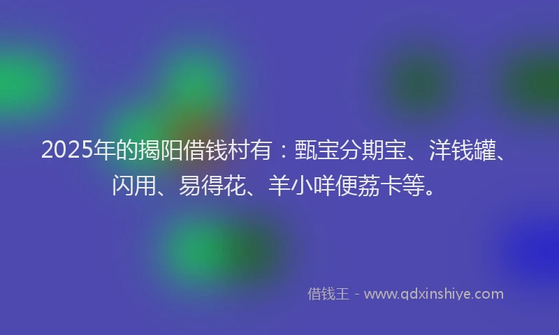 2025年的揭阳借钱村有：甄宝分期宝、洋钱罐、闪用、易得花、羊小咩便荔卡等。