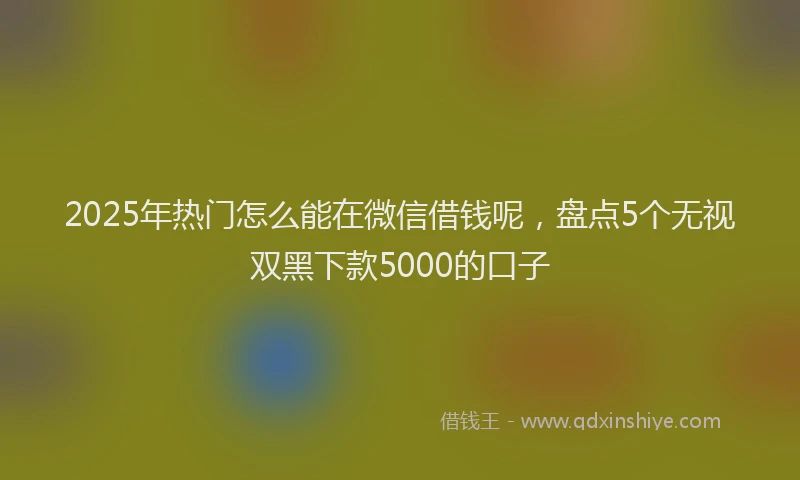 2025年热门怎么能在微信借钱呢，盘点5个无视双黑下款5000的口子