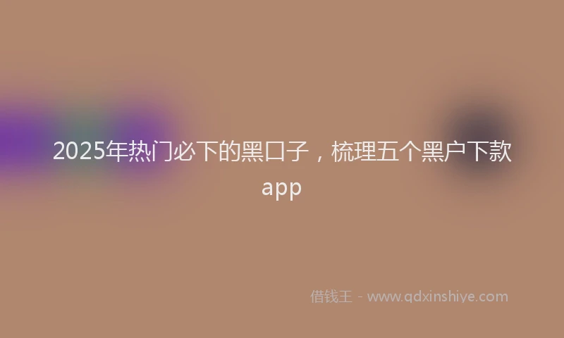 2025年热门必下的黑口子，梳理五个黑户下款app