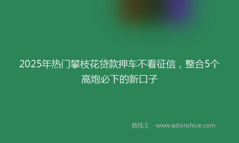 2025年热门攀枝花贷款押车不看征信，整合5个高炮必下的新口子