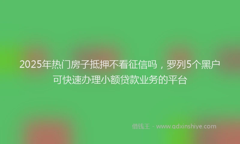 2025年热门房子抵押不看征信吗，罗列5个黑户可快速办理小额贷款业务的平台