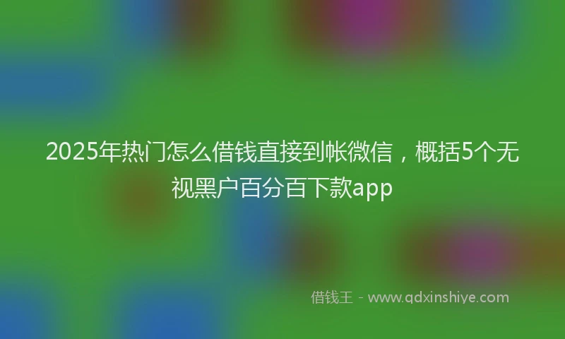 2025年热门怎么借钱直接到帐微信，概括5个无视黑户百分百下款app