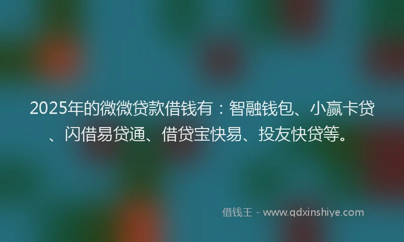 2025年的微微贷款借钱有：智融钱包、小赢卡贷、闪借易贷通、借贷宝快易、投友快贷等。