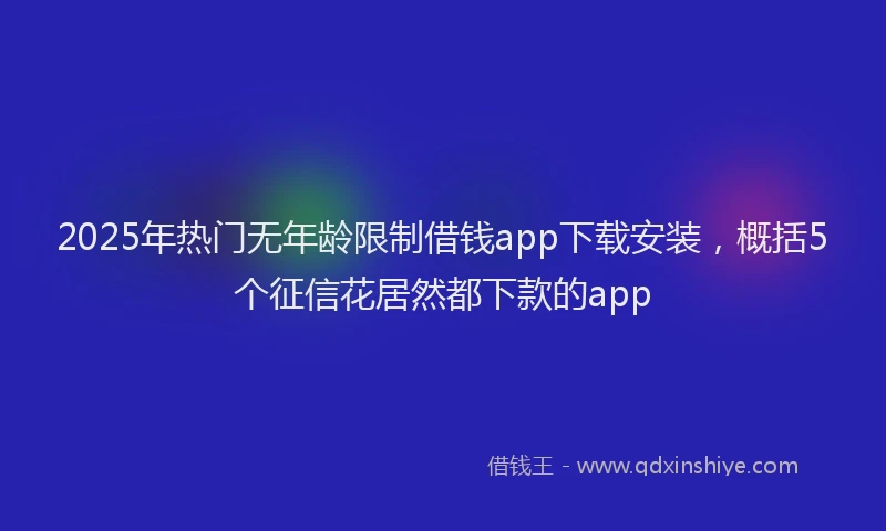 2025年热门无年龄限制借钱app下载安装，概括5个征信花居然都下款的app