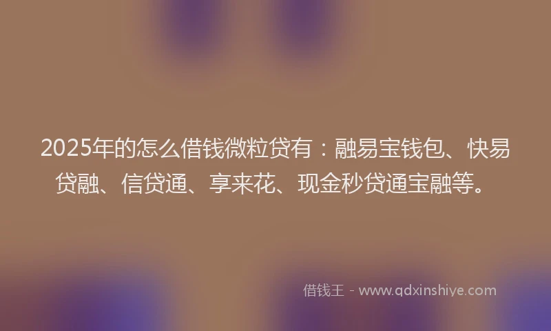 2025年的怎么借钱微粒贷有：融易宝钱包、快易贷融、信贷通、享来花、现金秒贷通宝融等。