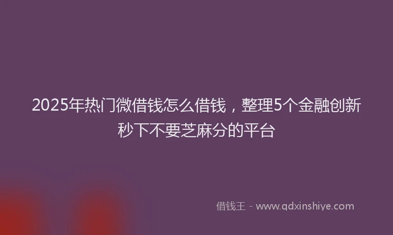2025年热门微借钱怎么借钱，整理5个金融创新秒下不要芝麻分的平台
