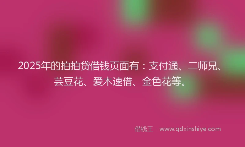 2025年的拍拍贷借钱页面有：支付通、二师兄、芸豆花、爱木速借、金色花等。