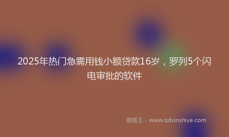 2025年热门急需用钱小额贷款16岁，罗列5个闪电审批的软件