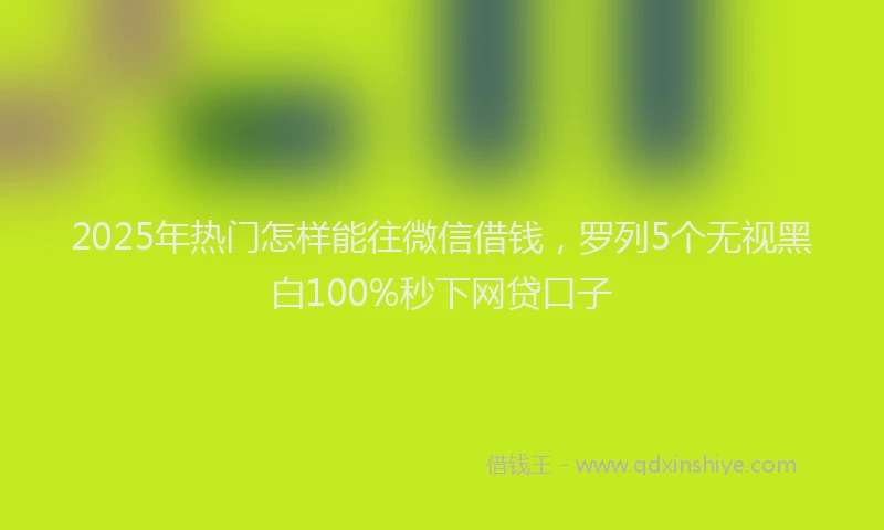 2025年热门怎样能往微信借钱，罗列5个无视黑白100%秒下网贷口子