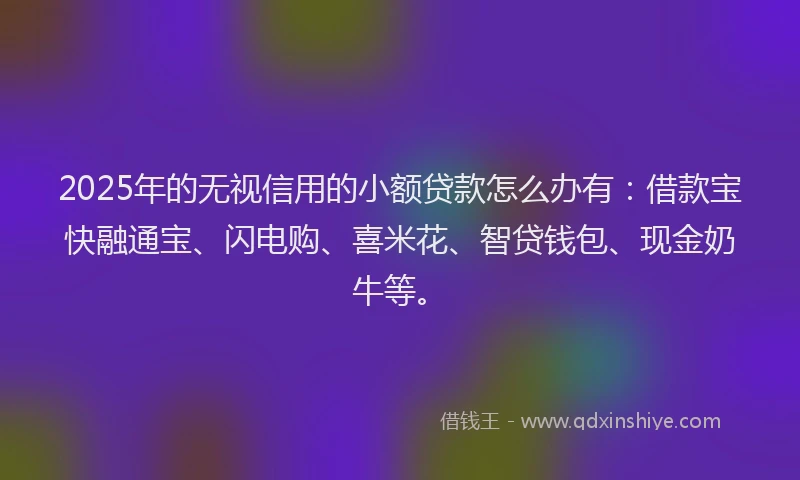 2025年的无视信用的小额贷款怎么办有：借款宝快融通宝、闪电购、喜米花、智贷钱包、现金奶牛等。