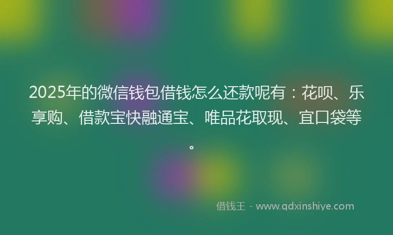 2025年的微信钱包借钱怎么还款呢有：花呗、乐享购、借款宝快融通宝、唯品花取现、宜口袋等。