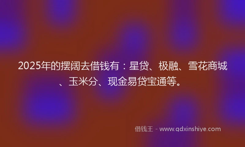 2025年的摆阔去借钱有：星贷、极融、雪花商城、玉米分、现金易贷宝通等。