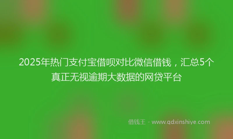 2025年热门支付宝借呗对比微信借钱，汇总5个真正无视逾期大数据的网贷平台