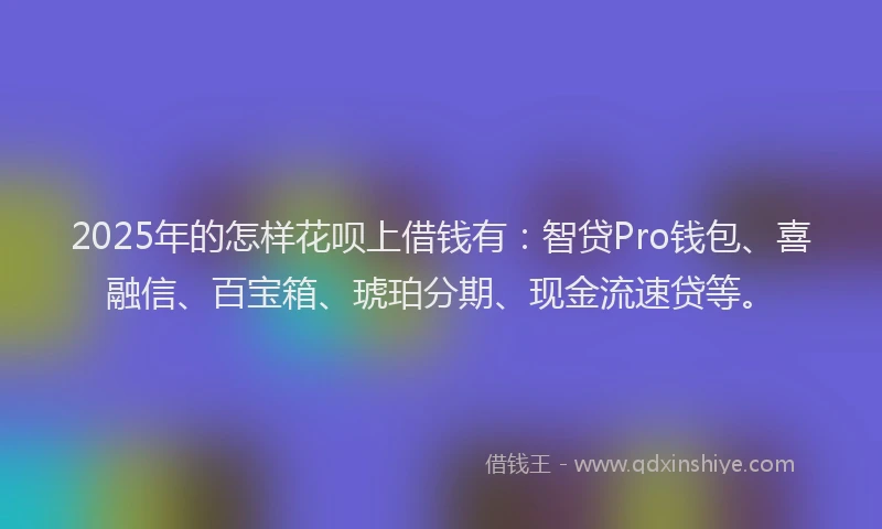 2025年的怎样花呗上借钱有：智贷Pro钱包、喜融信、百宝箱、琥珀分期、现金流速贷等。