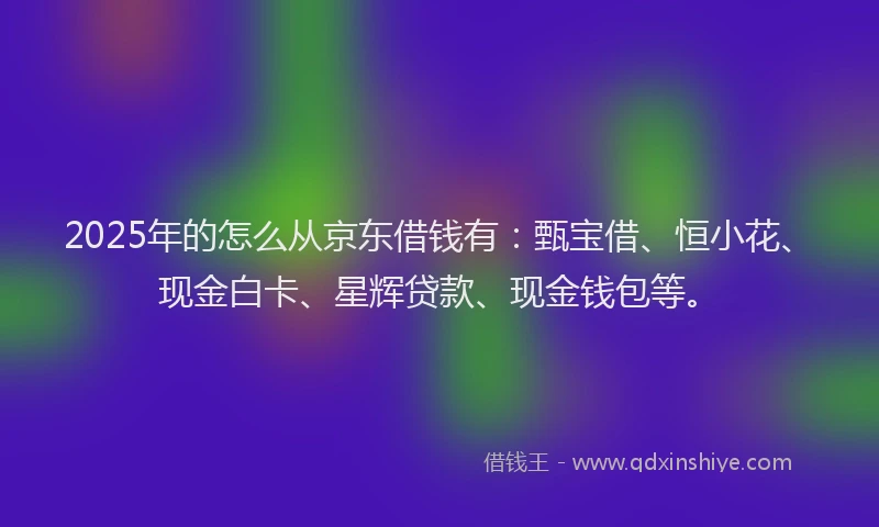 2025年的怎么从京东借钱有：甄宝借、恒小花、现金白卡、星辉贷款、现金钱包等。