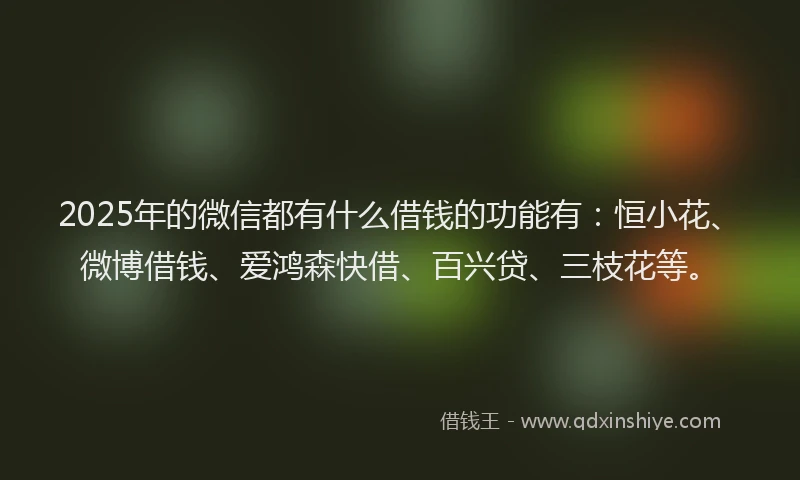 2025年的微信都有什么借钱的功能有：恒小花、微博借钱、爱鸿森快借、百兴贷、三枝花等。