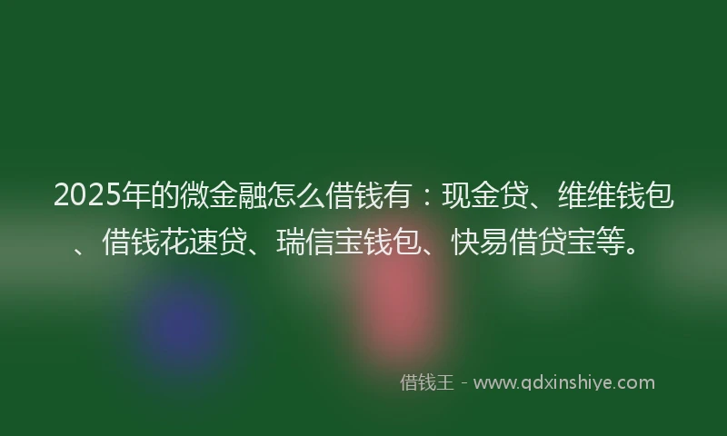 2025年的微金融怎么借钱有：现金贷、维维钱包、借钱花速贷、瑞信宝钱包、快易借贷宝等。