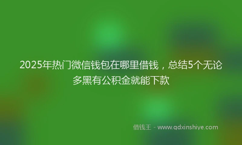 2025年热门微信钱包在哪里借钱，总结5个无论多黑有公积金就能下款