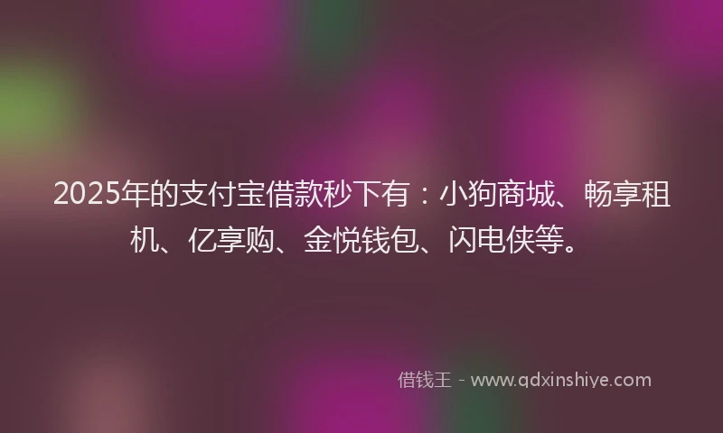 2025年的支付宝借款秒下有：小狗商城、畅享租机、亿享购、金悦钱包、闪电侠等。