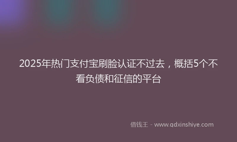 2025年热门支付宝刷脸认证不过去，概括5个不看负债和征信的平台