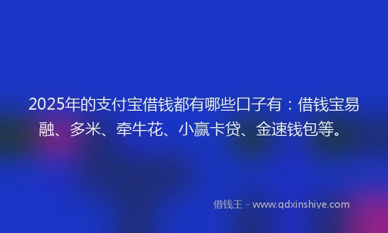 2025年的支付宝借钱都有哪些口子有：借钱宝易融、多米、牵牛花、小赢卡贷、金速钱包等。