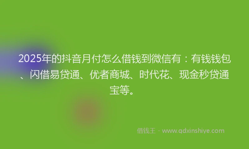 2025年的抖音月付怎么借钱到微信有：有钱钱包、闪借易贷通、优者商城、时代花、现金秒贷通宝等。