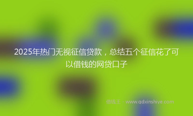 2025年热门无视征信贷款，总结五个征信花了可以借钱的网贷口子