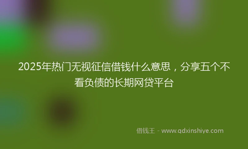 2025年热门无视征信借钱什么意思，分享五个不看负债的长期网贷平台