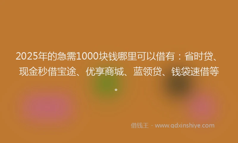 2025年的急需1000块钱哪里可以借有：省时贷、现金秒借宝途、优享商城、蓝领贷、钱袋速借等。