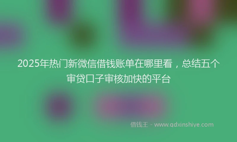 2025年热门新微信借钱账单在哪里看，总结五个审贷口子审核加快的平台