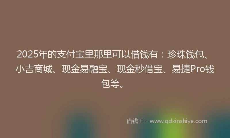 2025年的支付宝里那里可以借钱有：珍珠钱包、小吉商城、现金易融宝、现金秒借宝、易捷Pro钱包等。