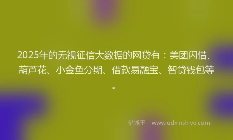 2025年的无视征信大数据的网贷有：美团闪借、葫芦花、小金鱼分期、借款易融宝、智贷钱包等。