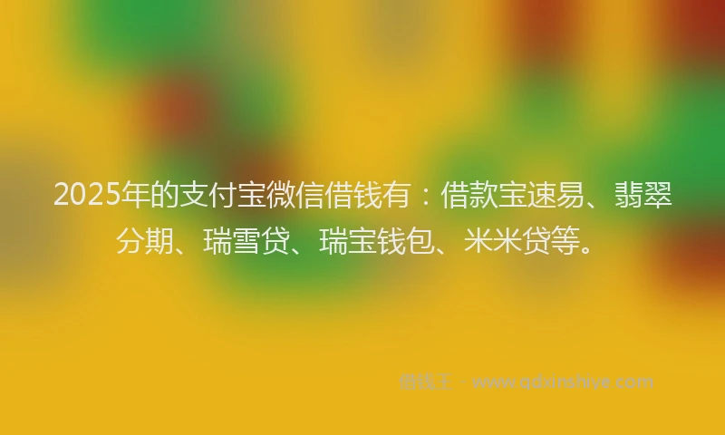 2025年的支付宝微信借钱有：借款宝速易、翡翠分期、瑞雪贷、瑞宝钱包、米米贷等。