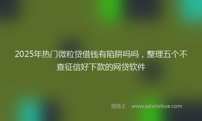 2025年热门微粒贷借钱有陷阱吗吗，整理五个不查征信好下款的网贷软件