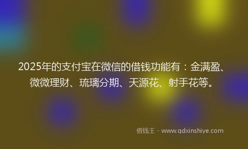 2025年的支付宝在微信的借钱功能有：金满盈、微微理财、琉璃分期、天源花、射手花等。