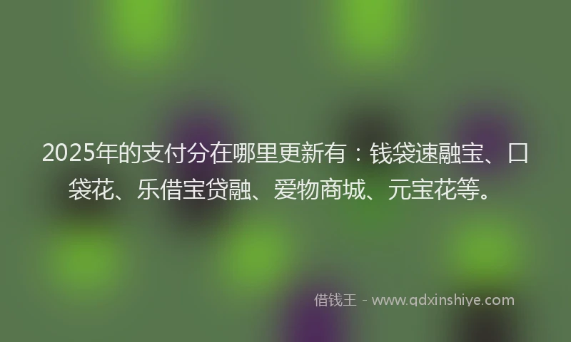 2025年的支付分在哪里更新有：钱袋速融宝、口袋花、乐借宝贷融、爱物商城、元宝花等。
