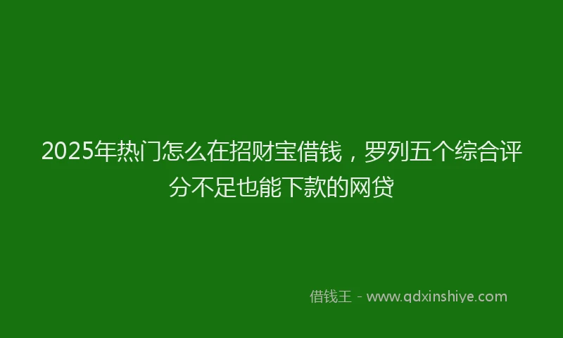 2025年热门怎么在招财宝借钱，罗列五个综合评分不足也能下款的网贷