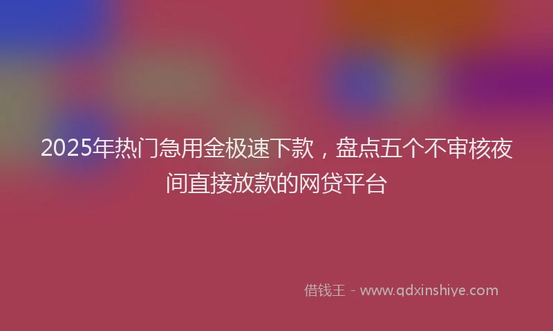 2025年热门急用金极速下款，盘点五个不审核夜间直接放款的网贷平台