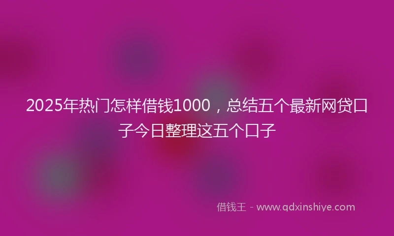 2025年热门怎样借钱1000，总结五个最新网贷口子今日整理这五个口子