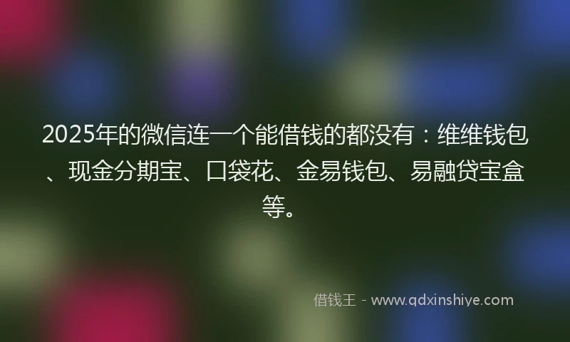 2025年的微信连一个能借钱的都没有：维维钱包、现金分期宝、口袋花、金易钱包、易融贷宝盒等。
