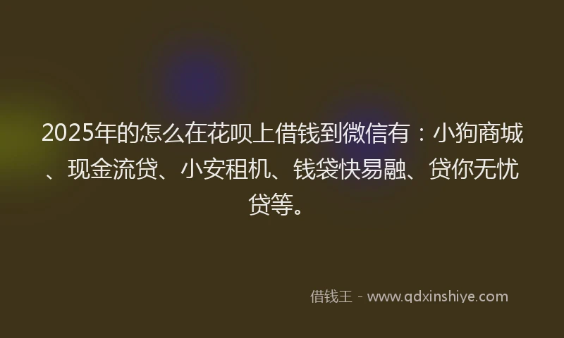 2025年的怎么在花呗上借钱到微信有：小狗商城、现金流贷、小安租机、钱袋快易融、贷你无忧贷等。